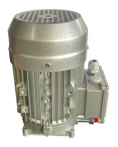 2 POST LIFT MOTOR (400V)